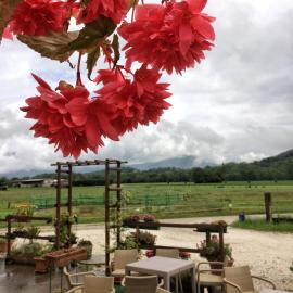 Agriturismo San Floreano, hotel v destinaci Buia