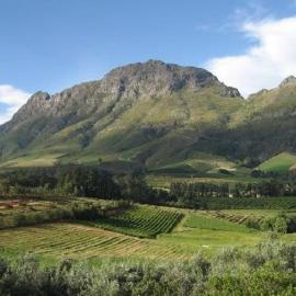 Majestic Mountain views in the Cape Town Winelands