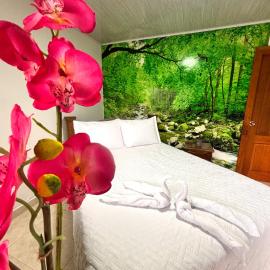 Hotel Sleep Well: Filandia şehrinde bir otel