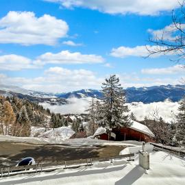 PO Grande Ourse Suite - Anzere Slopeside - Swiss Alp