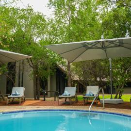 Big 5 Thaba Lodge Black Rhino Pilanesberg
