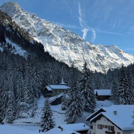 Spacious apartment, Hotel in Fionnay