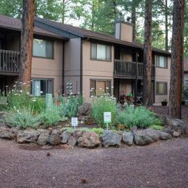 Sports Village, 1 BR 1 BA, Studio, Kitchenette