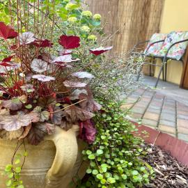30&Lode, Mini in zona tranquilla