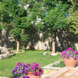Gira e Firria, Hotel in Palermo