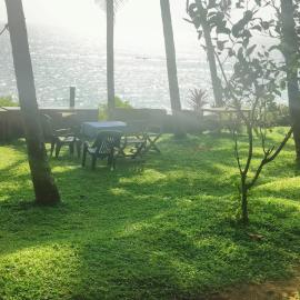 Perch by the sea
