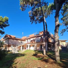 Milla 2, hotel in Rosolina Mare