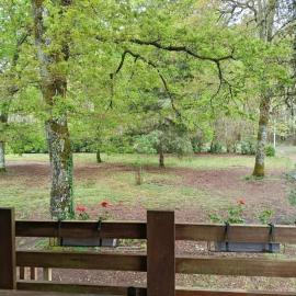 Vielle-Soubiran में, होटल chalet à la campagne