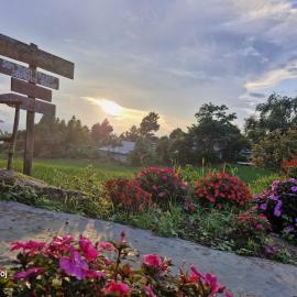Tổ Ếch Homestay, hotel u gradu Chi Sang