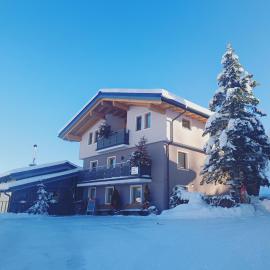 Apartment Hochkönigblick Pilzegg