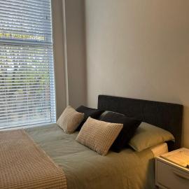 Lury's Studio Apartment, hotel i Dublin