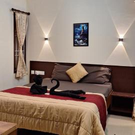Nest Budget Inn