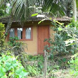Rural Jungle Backpackers Hostel