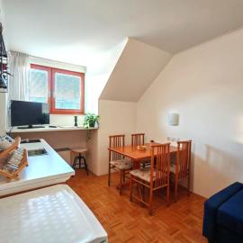 Apartma Roglina、ズレチェのホテル