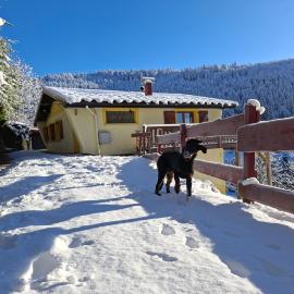 Maison de montagne vue magnifique, hotel en Ventron