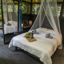 Jungle Loft
