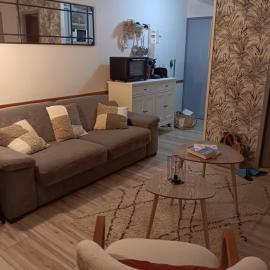 Appt pied des pistes