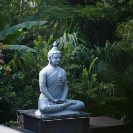 Gulmohar Eco Village Resort, hotel in Naraini
