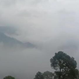 Twin Oaks Kasauli Hills