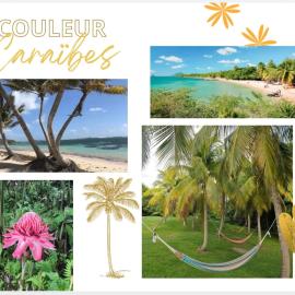 Couleur Caraïbes- 2 Appartements Communicants Vue Mer CLUB DE VACANCES