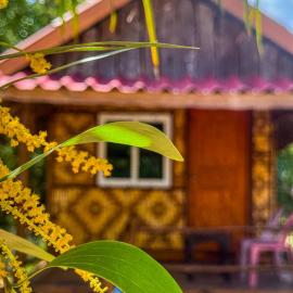 Pepee mini cafe ปีปีมินิ คาเฟ่ &โฮมสเตย์, hotel sa Ban Ting Rai