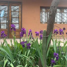 Casa Puna โรงแรมในอัลตากราเซีย