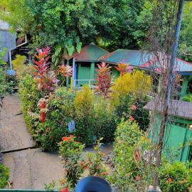 Tia's Bamboo Cottages Restaurant, Bar & Sulphur Spa, hotelli kohteessa Roseau