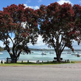 Tuis Nest, family beach bach at Opito Bay