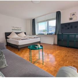 Rhein Apartments - Apartment bis 6 Personen，Küssaberg的飯店