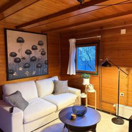 Wooden Cabin in Ljubljana