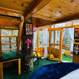 Bawli Treehouse Duplex, Jibhi, ξενοδοχείο σε Jibhi