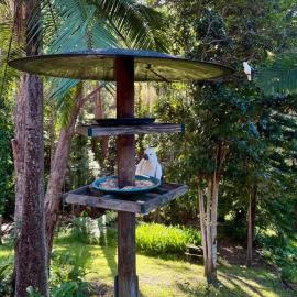 The Nature Nook