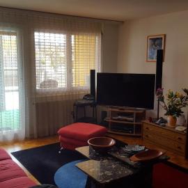 Appartement partagé avec couchage sur un grand matelas au sol au salon, hotel in Yverdon-les-Bains