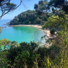 Ocean view haven