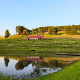 Shalom Mountain & Fly-Fishing Lodge