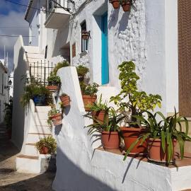 Casa Luna Miel
