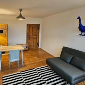 Blaue Gans，Oderberg的飯店