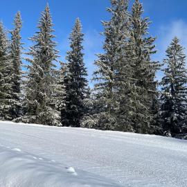 MONTANA, hotel in Jahorina