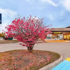 Comfort Inn Pembroke Riverside, ξενοδοχείο σε Πέμπροκ