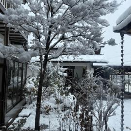 桜Sakura、大町市のホテル