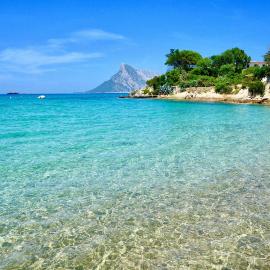 Albatross Mobile Homes on Camping Bella Italia Sardinia