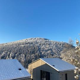 Sauerland Lodge - Haus Anton
