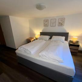 Design-Apartment im Zentrum von Scheidegg