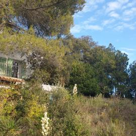Petite maison sur Apt, hotell sihtkohas Apt