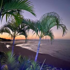 A slice of paradise