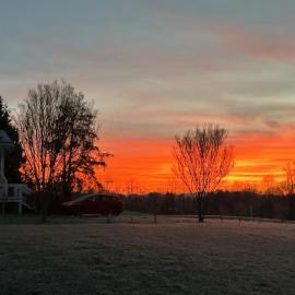 The Farmhouse at Wolfehaven, hotel in Asheville