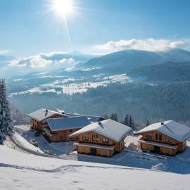 Alpenchalets Oberlaiming, hotel in Itter