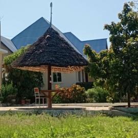 Kijani House