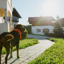 Schönes Ferienhaus im Landhausstil im Vital Camp Bayerbach