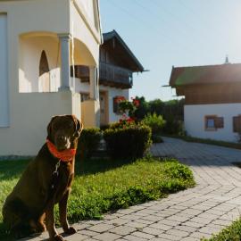 Großzügiges Ferienhaus im Landhausstil im Vital Camp Bayerbach, hotel in Bayerbach